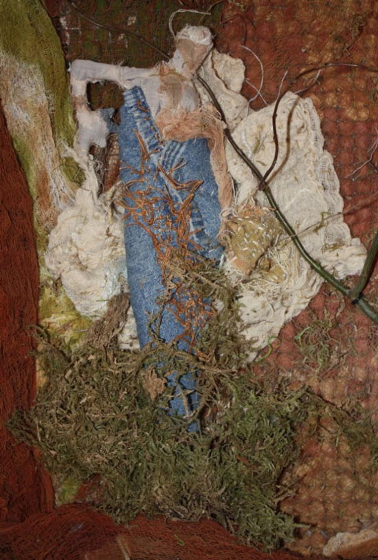 rebirth detail